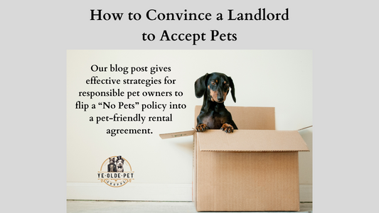 How to Convince a Landlord to Accept Pets