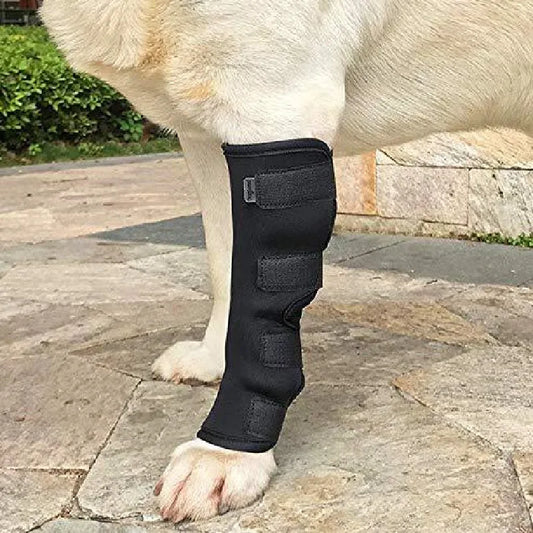 Dog Hock Brace For Leg and Joint Support