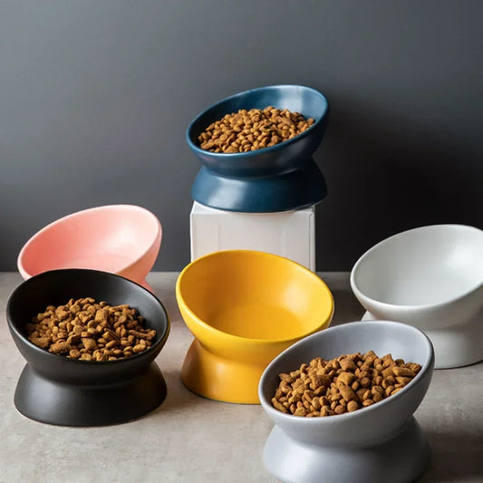 Elevated Tilted Cat Bowls