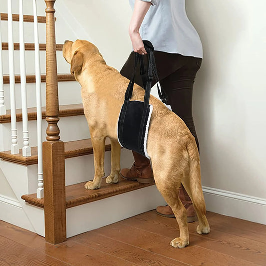Polar Fleece-Lined Back End Lift for All Size Dogs