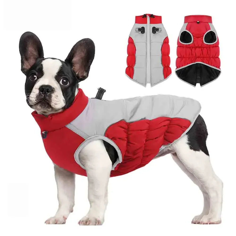 Waterproof Dog Jacket with Built In Harness