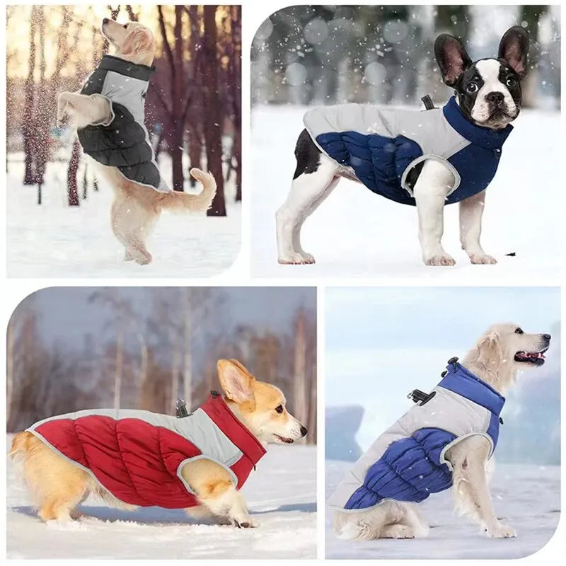 Waterproof Dog Jacket with Built In Harness