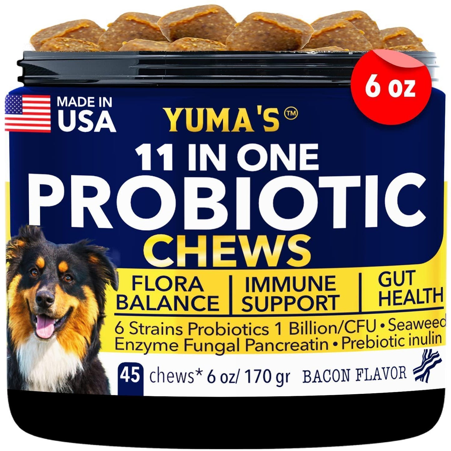 Probiotics for Good Gut and Skin Health for Dogs