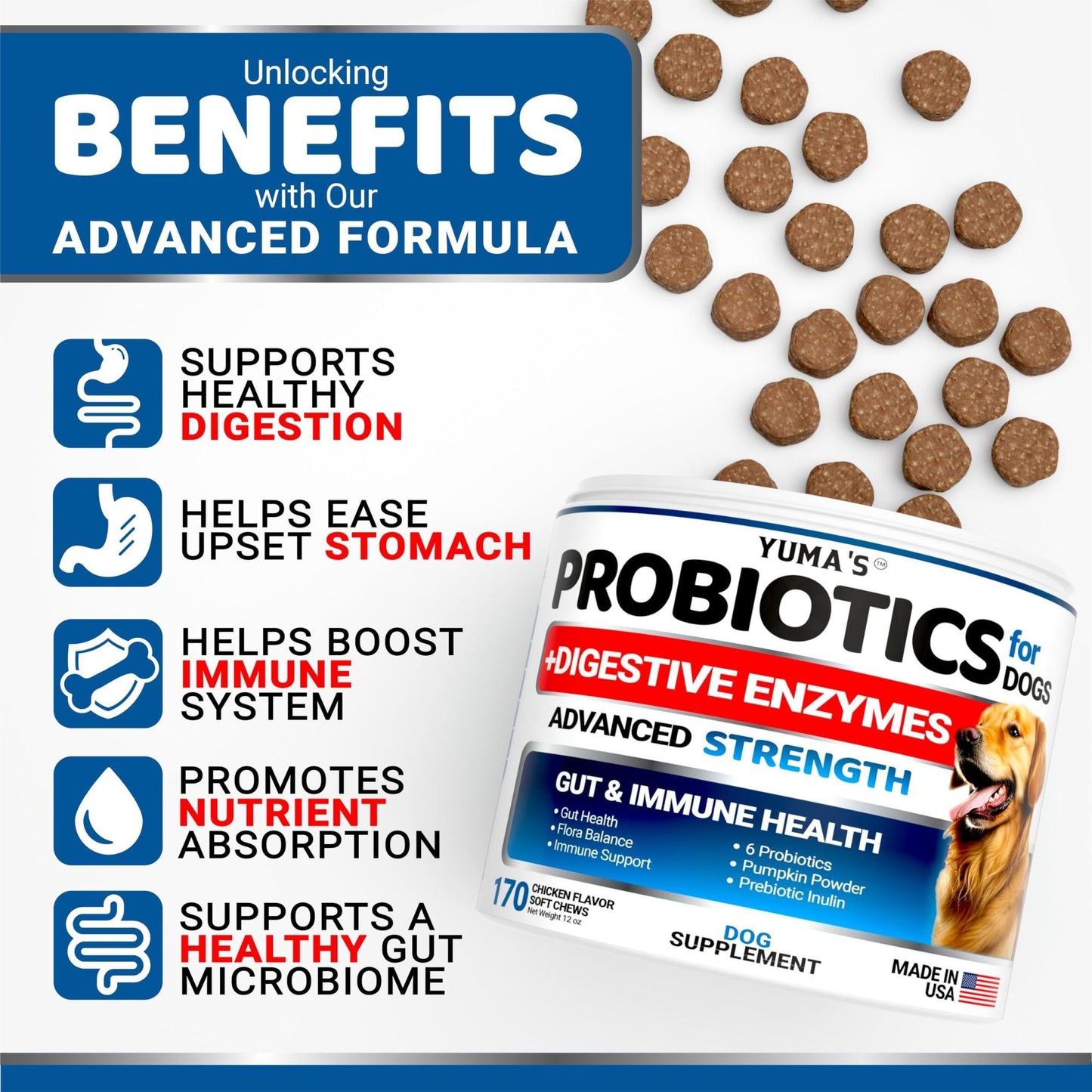 Probiotics and Digestive Enzymes for Dogs