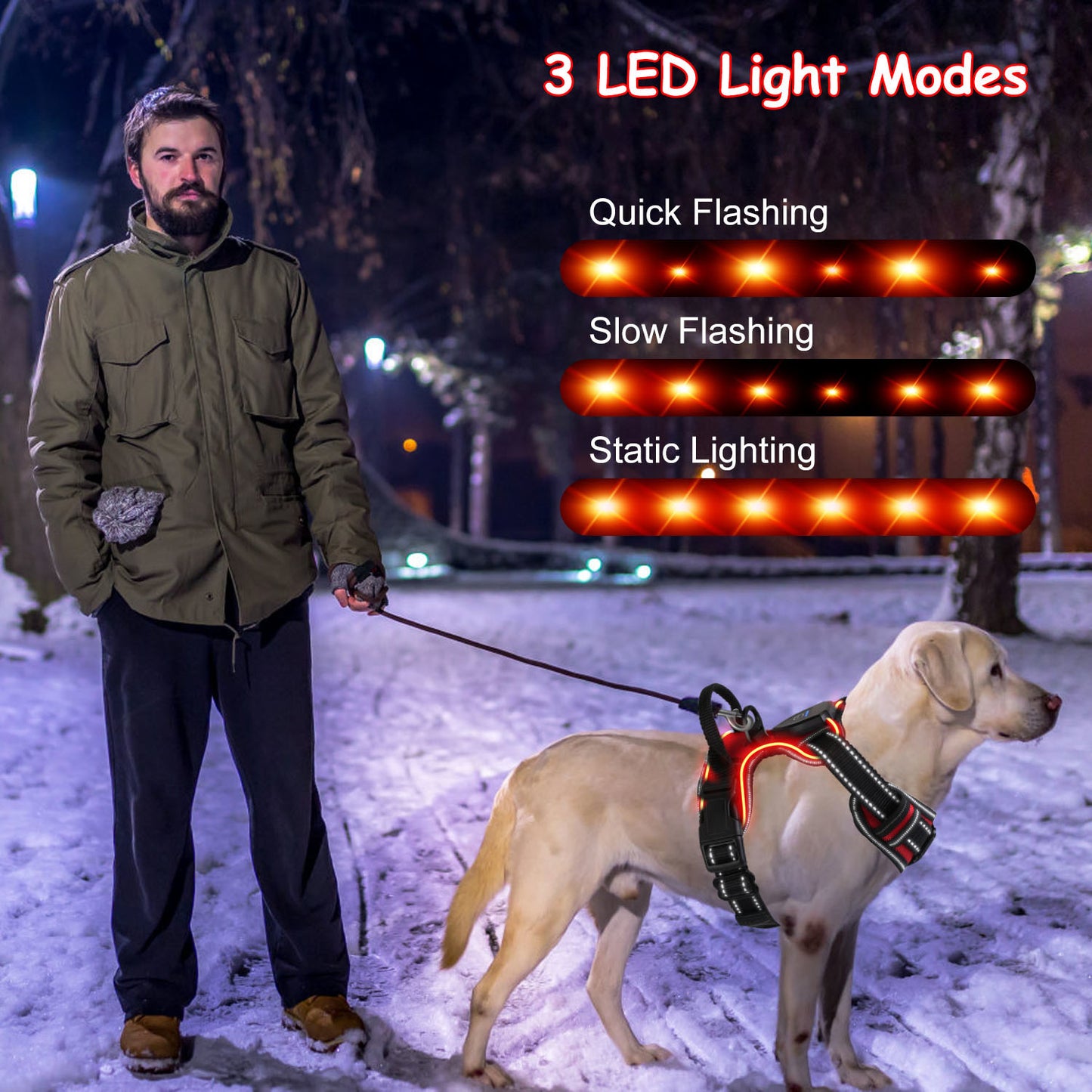 Rechargeable LED Dog Safety Harness