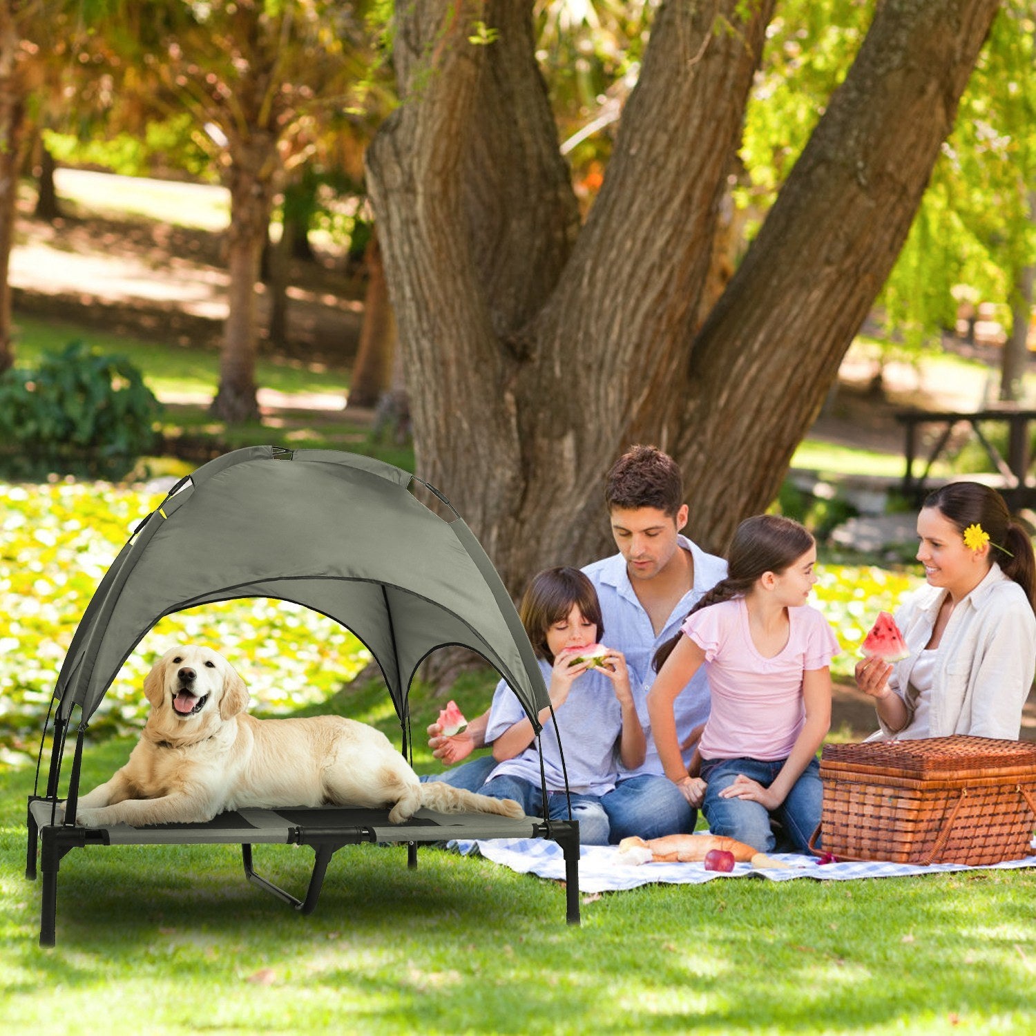 Outdoor Elevated Dog Bed with Canopy Shade