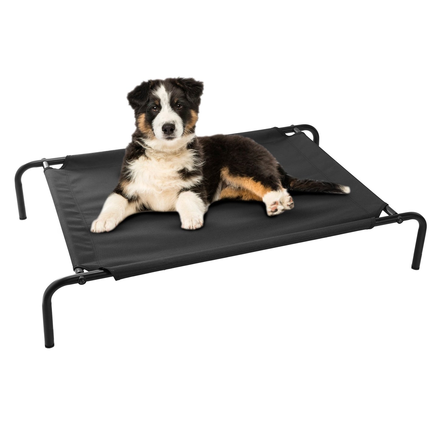 Elevated/Raised Dog Bed for Joint Relief