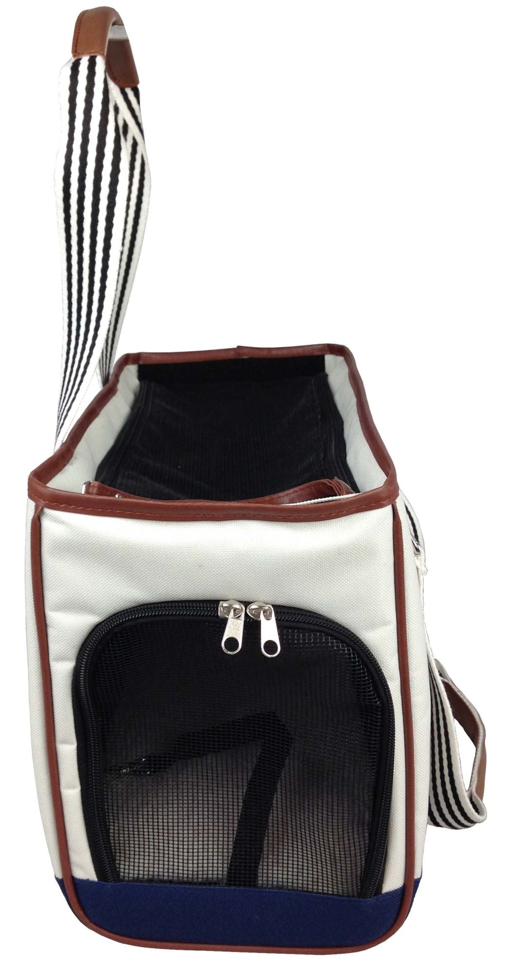 Fashionable handbag-style pet carrier