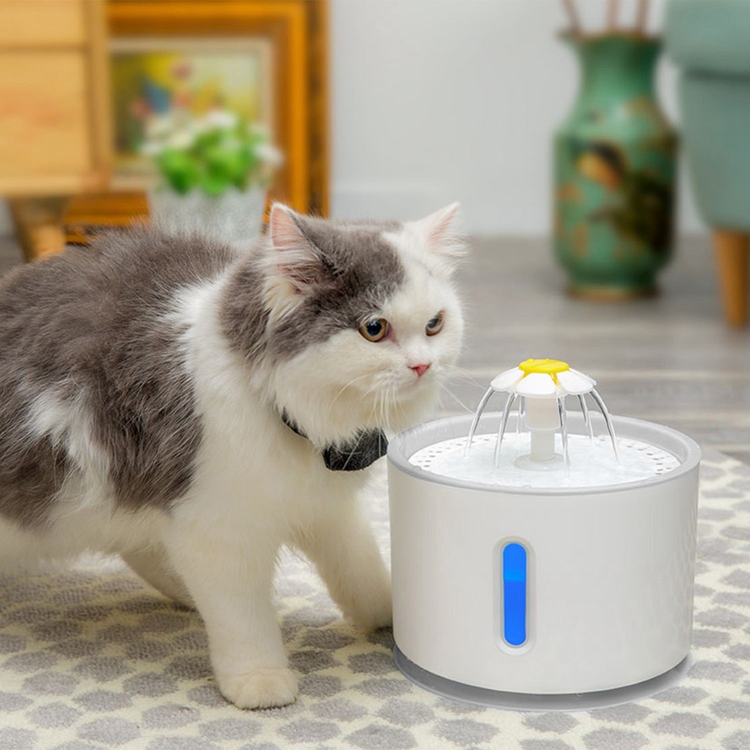 Fresh Water Pet Fountain