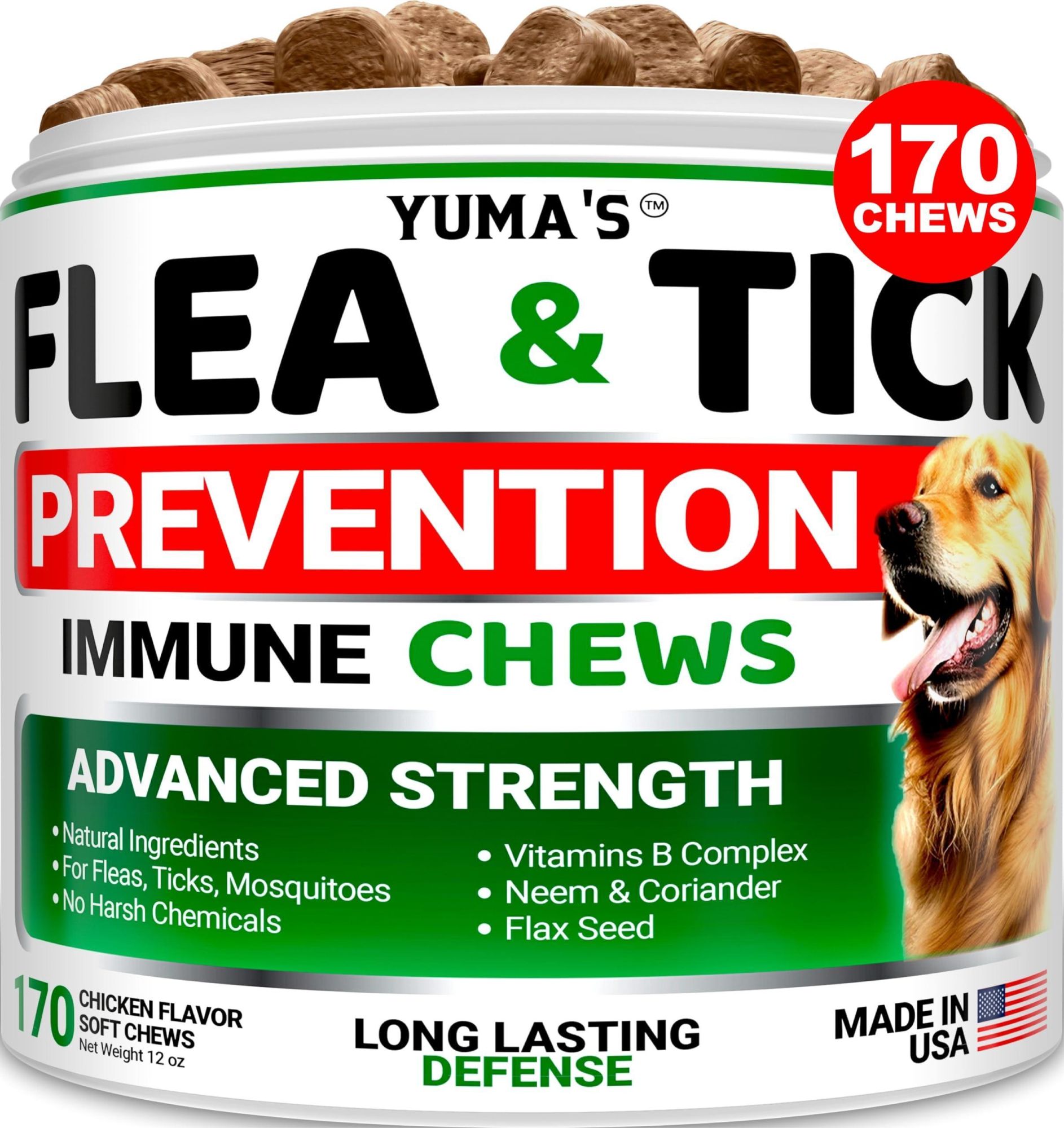 Flea and Tick Prevention for Dogs