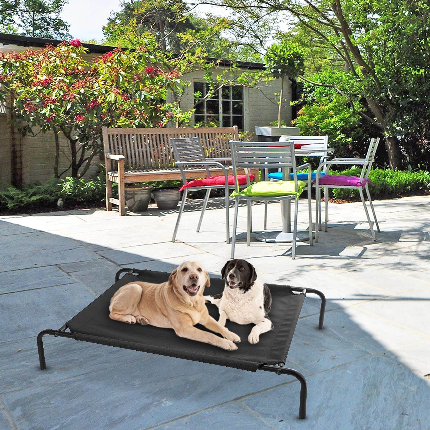 Elevated/Raised Dog Bed for Joint Relief