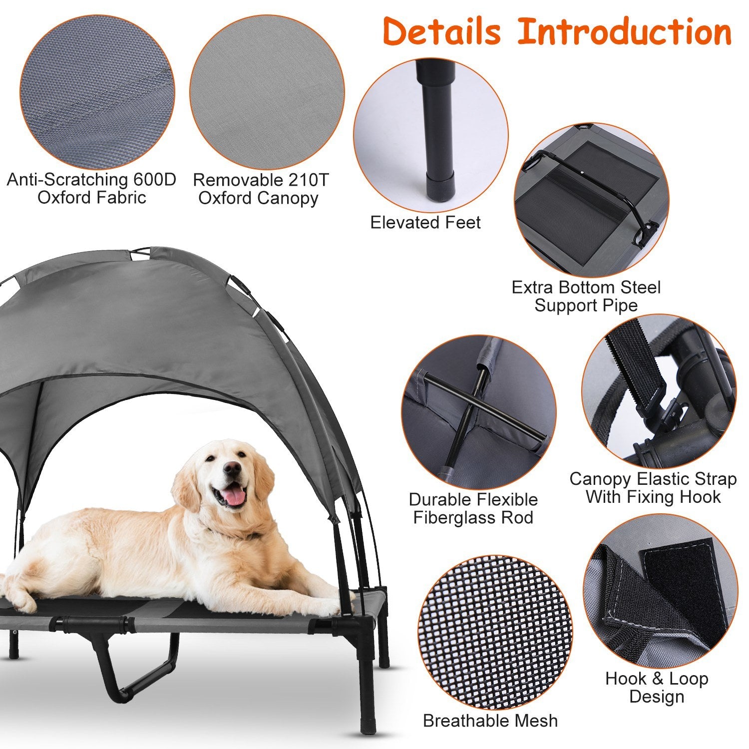 Outdoor Elevated Dog Bed with Canopy Shade