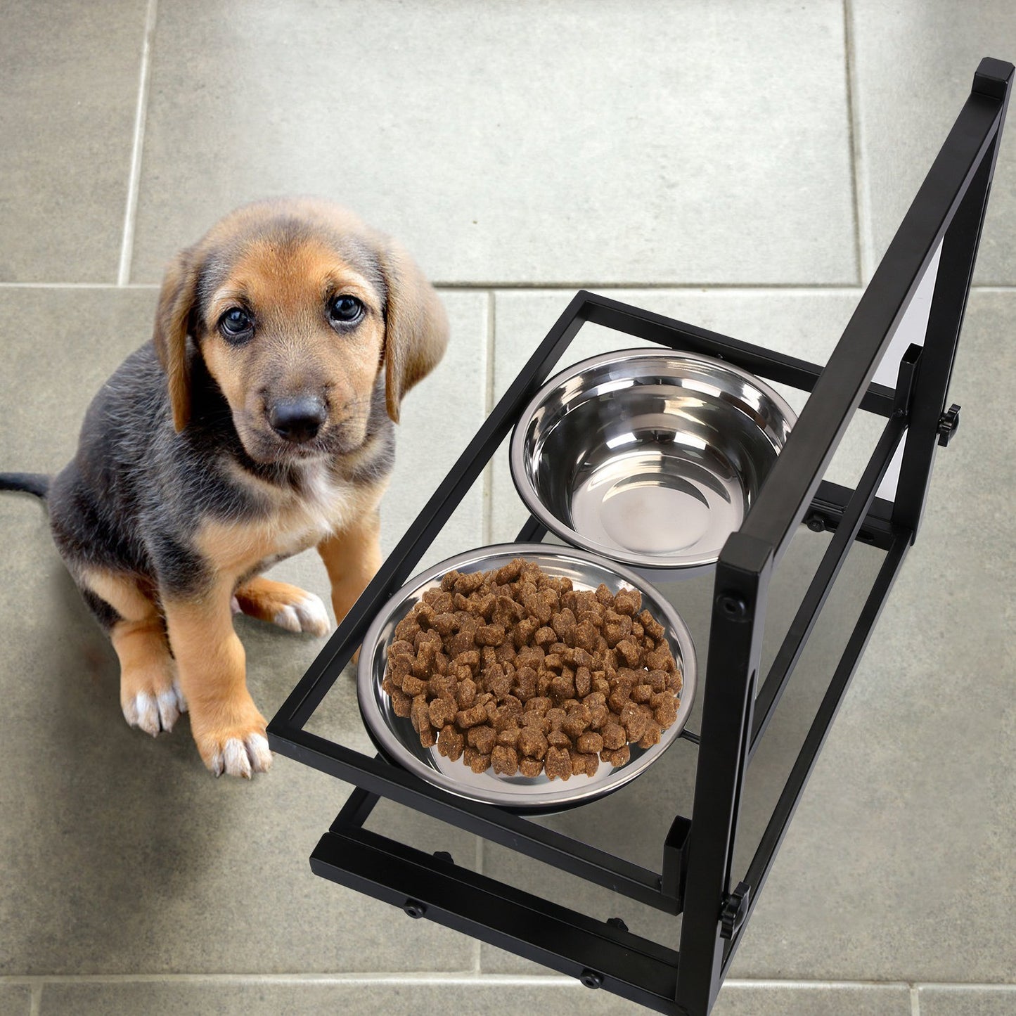 Adjustable Height Iron Stand with Elevated Dog Bowls