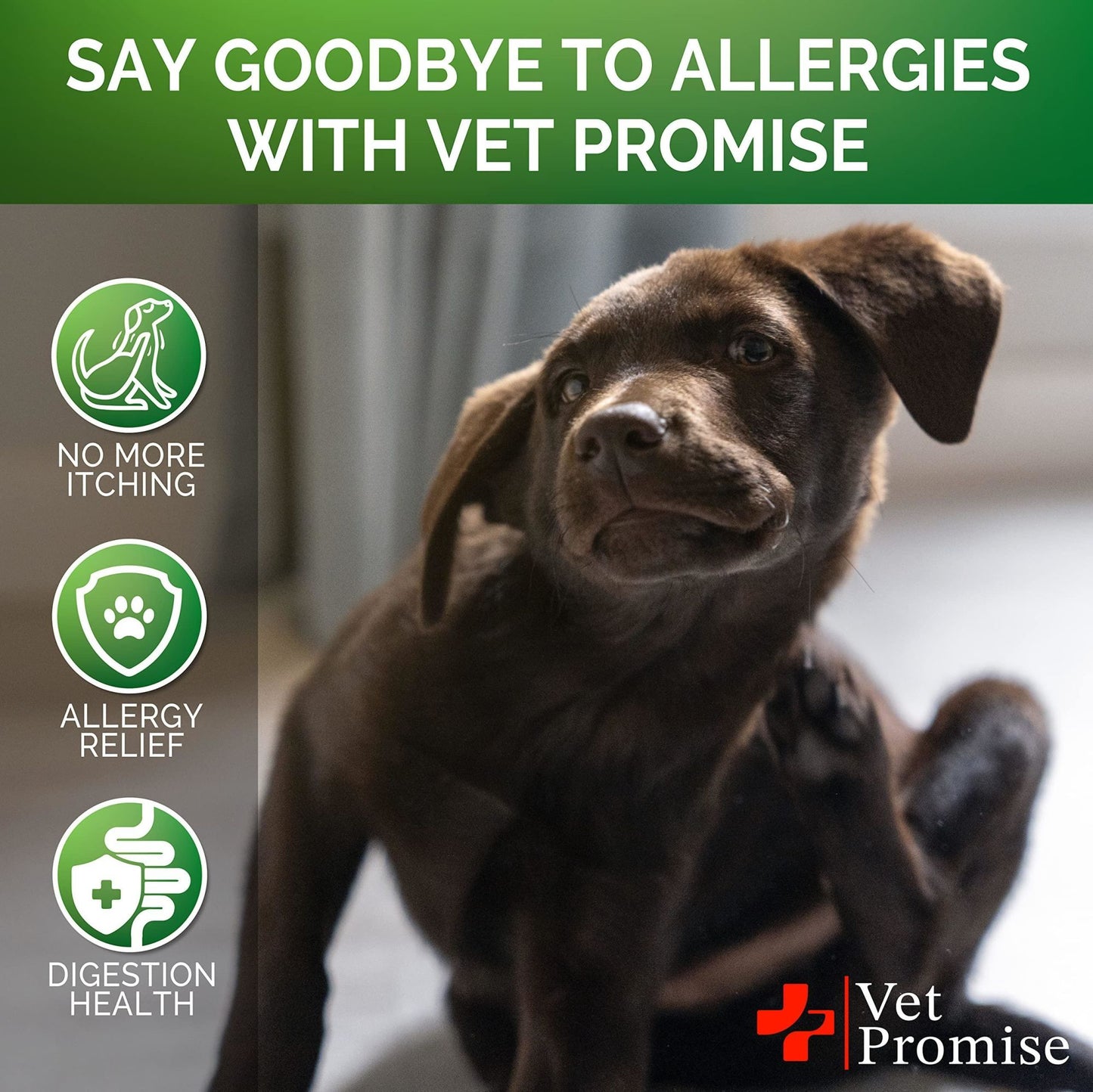 Allergy Chews for Itch Relief for Dogs