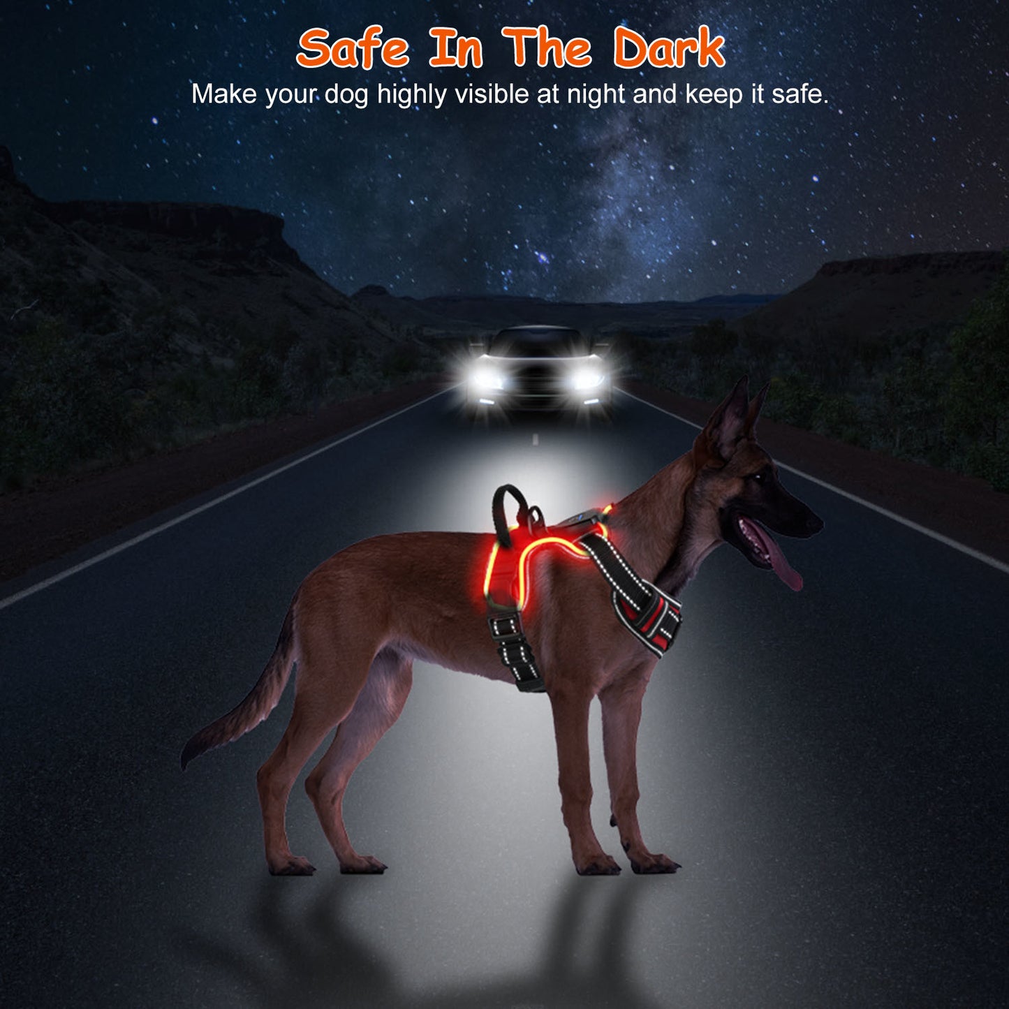 Rechargeable LED Dog Safety Harness