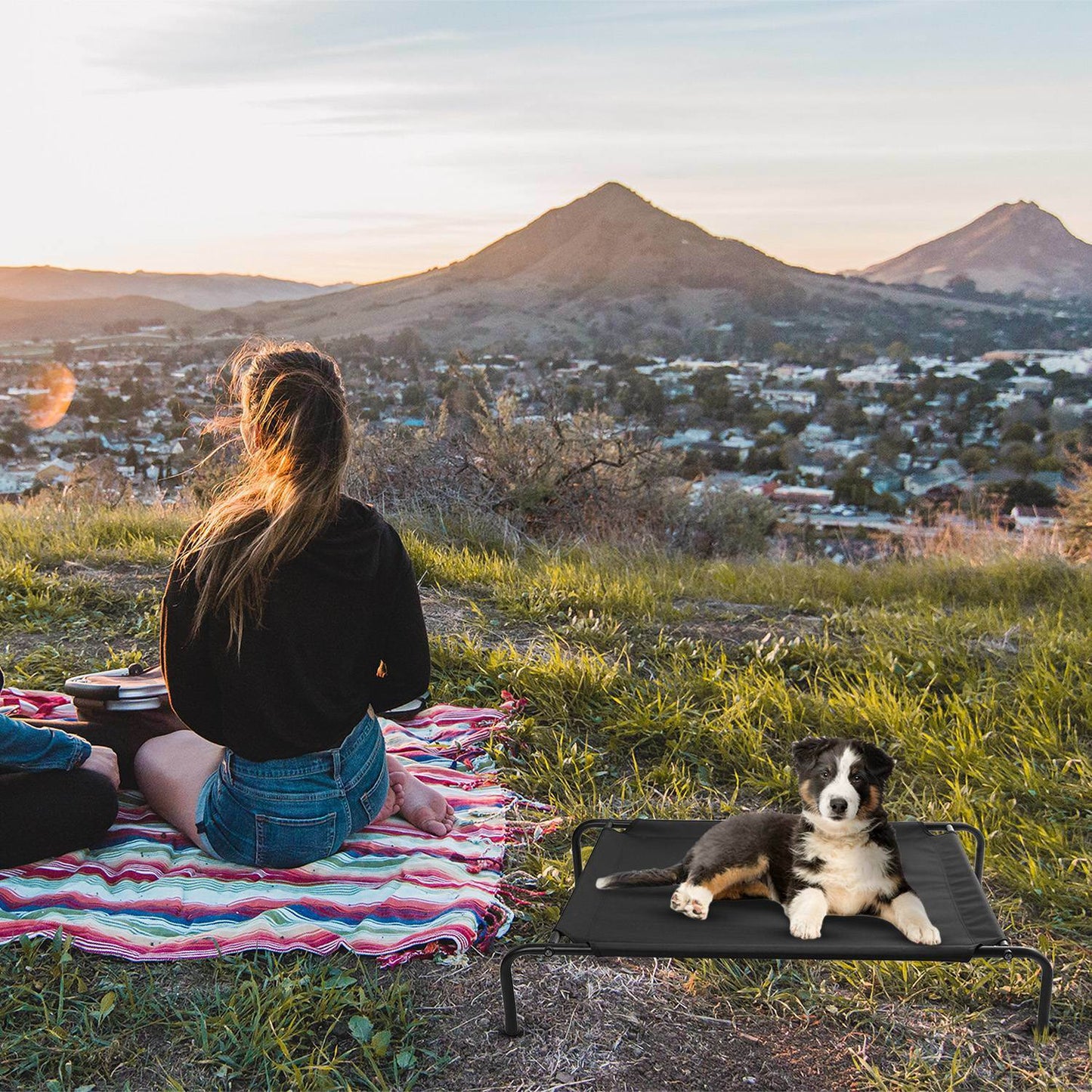 Elevated/Raised Dog Bed for Joint Relief