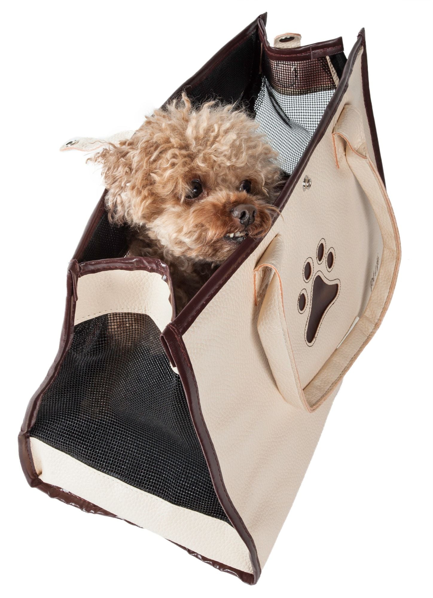 Trendy Handbag Pet Dog Cat Carrier