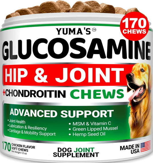 Glucosamine Chondroitin Hip and Joint Supplement for Dogs