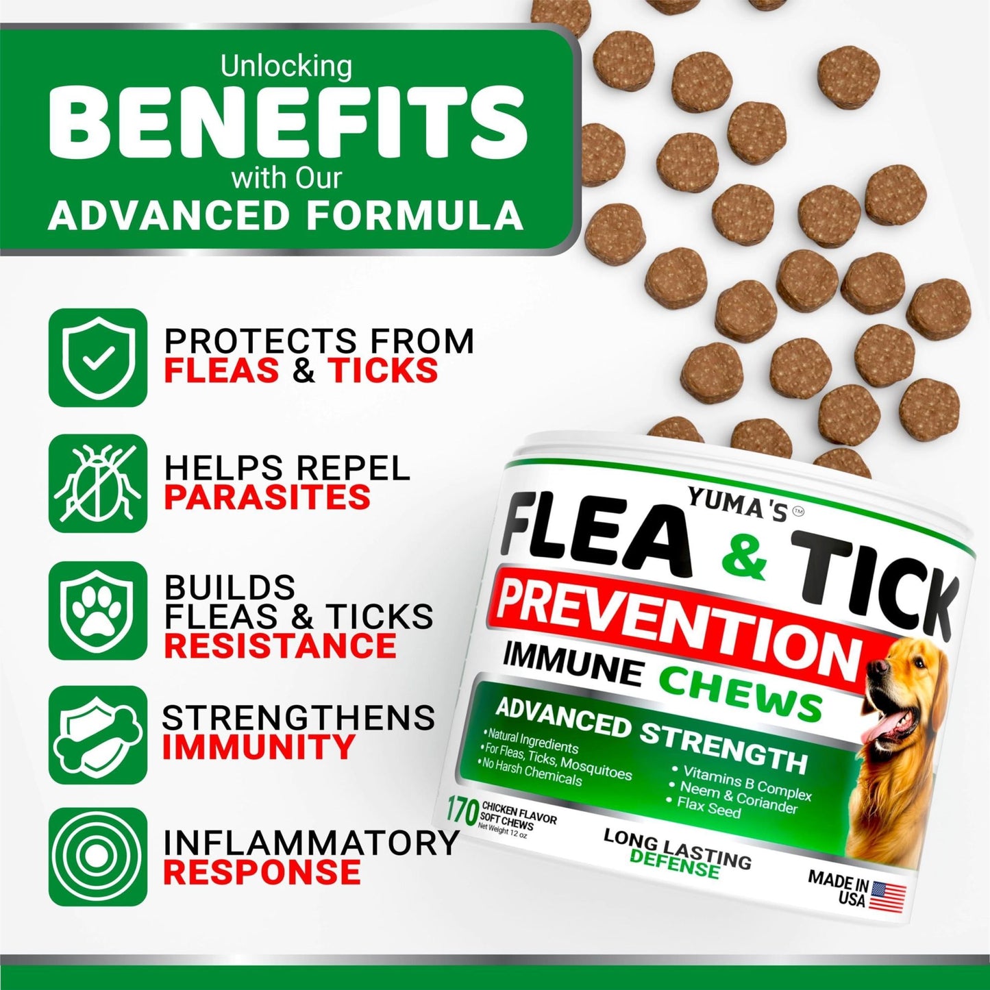 Flea and Tick Prevention for Dogs