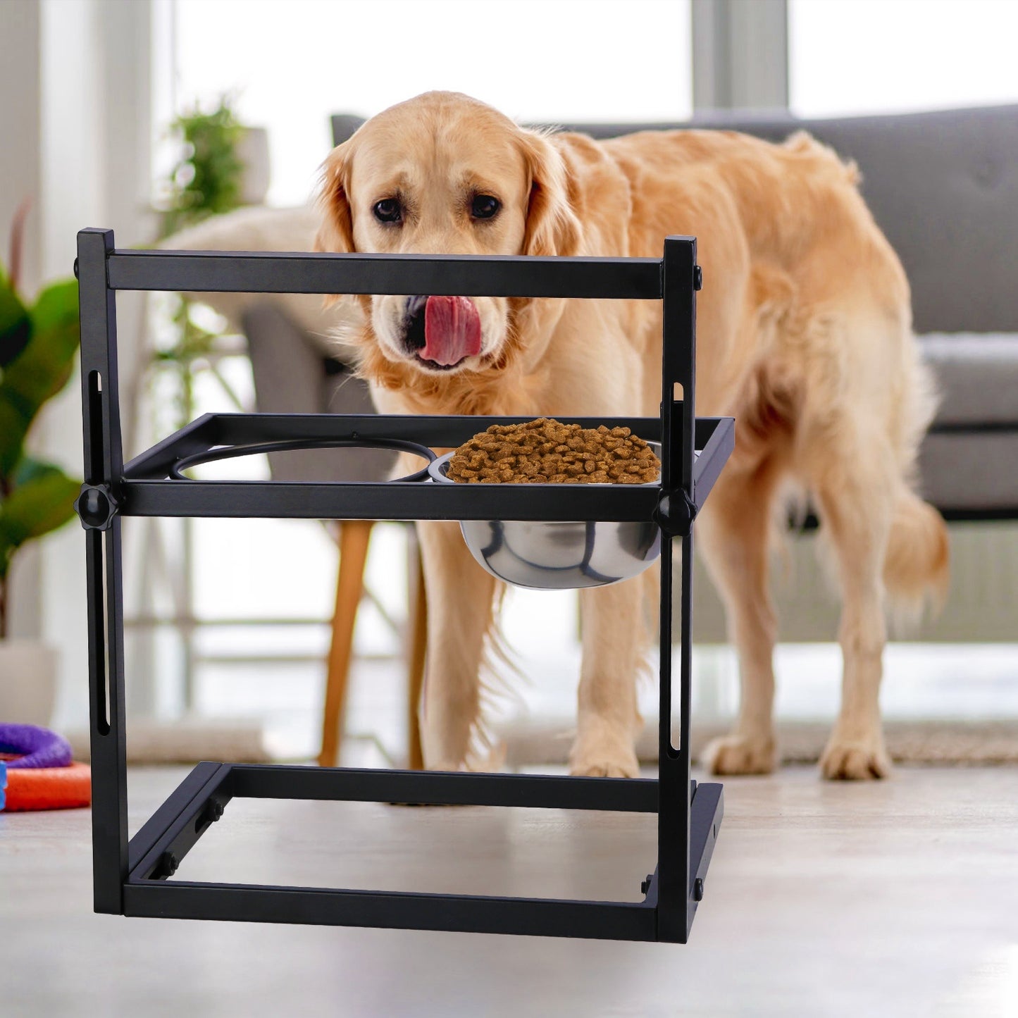 Adjustable Height Iron Stand with Elevated Dog Bowls