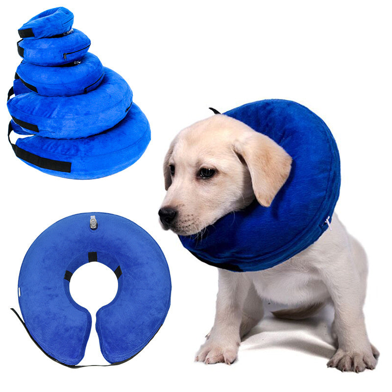 Inflatable Recovery Collar for Dogs and Cats