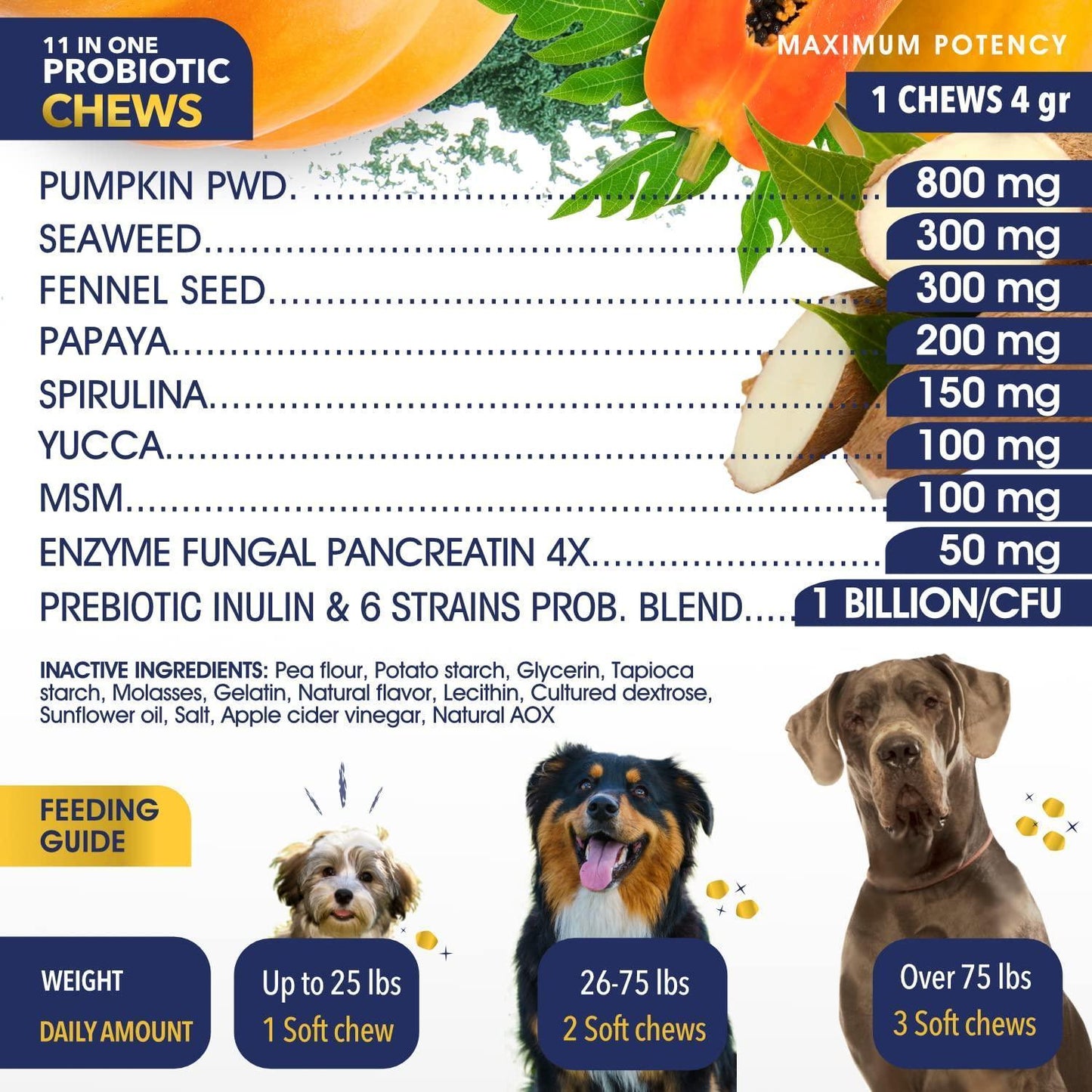 Probiotics for Good Gut and Skin Health for Dogs