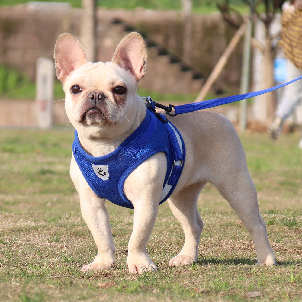 Reflective Dog Harness Vest and Bonus Leash