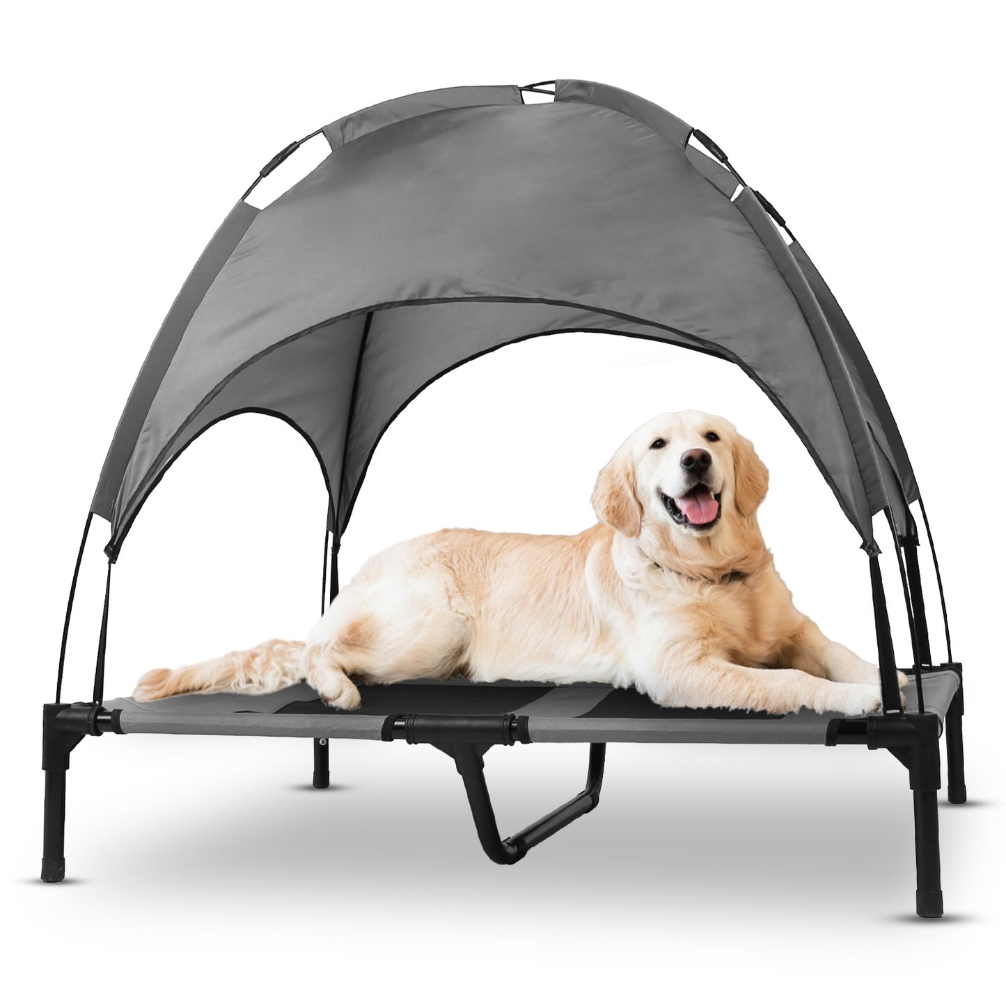 Outdoor Elevated Dog Bed with Canopy Shade