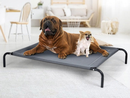 Elevated/Raised Dog Bed for Joint Relief - Large
