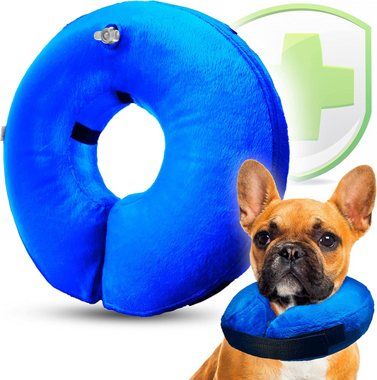 Inflatable Recovery Collar for Dogs and Cats