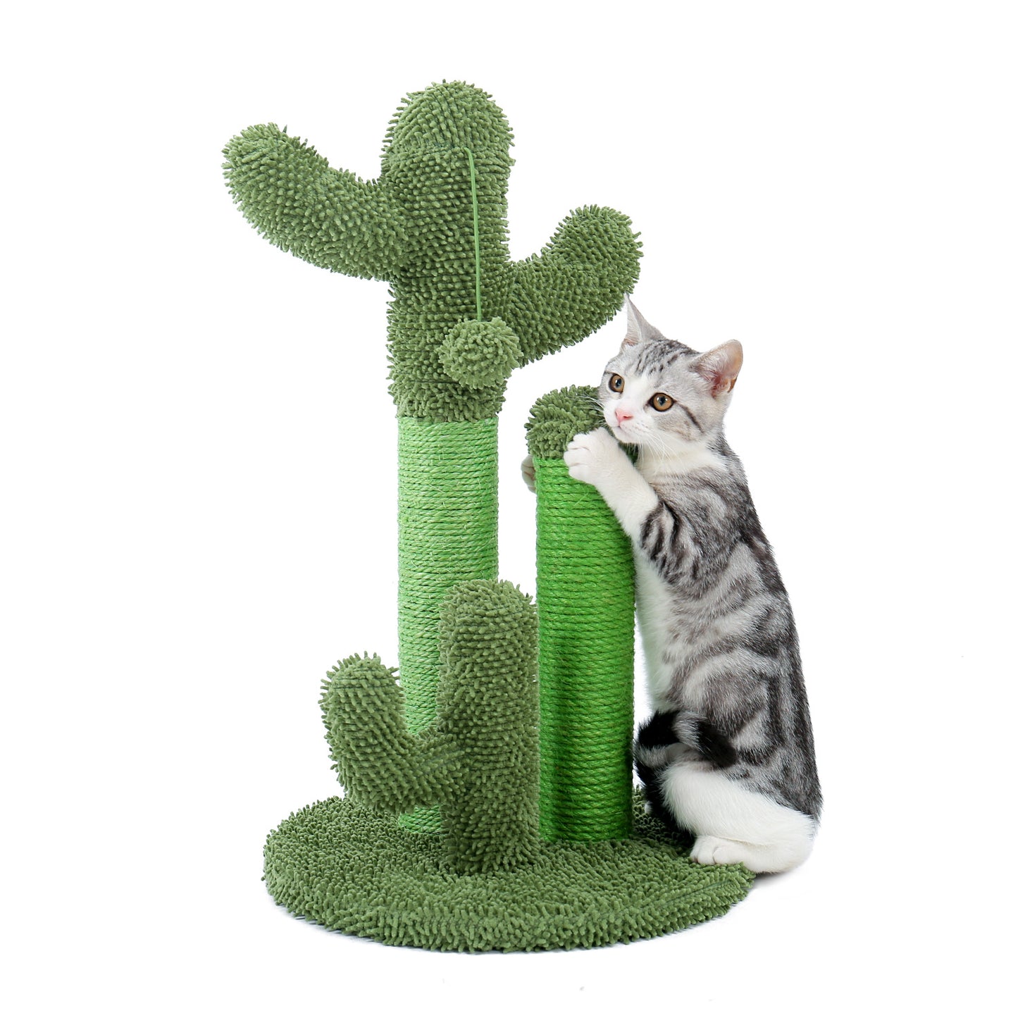 Cat Scratching Post