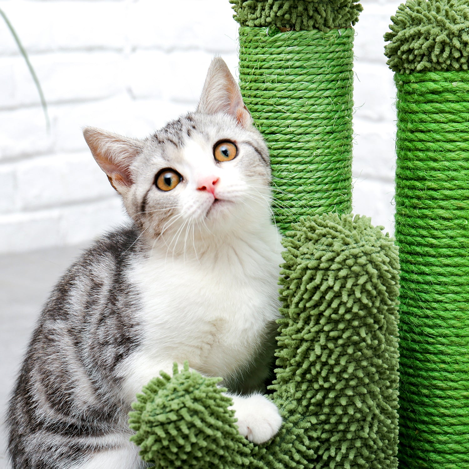 Cat Scratching Post