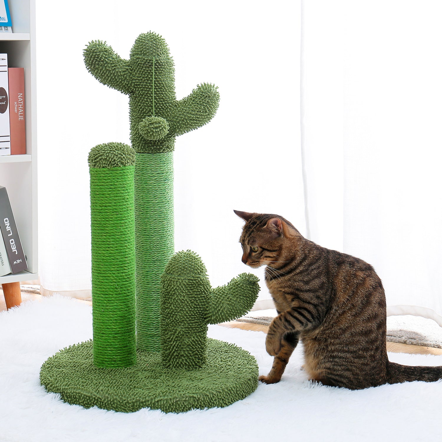 Cat Scratching Post