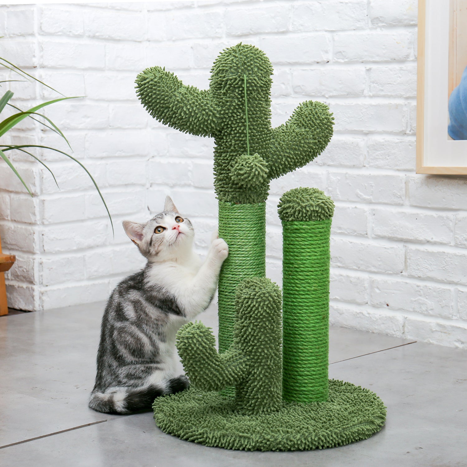 Cat Scratching Post