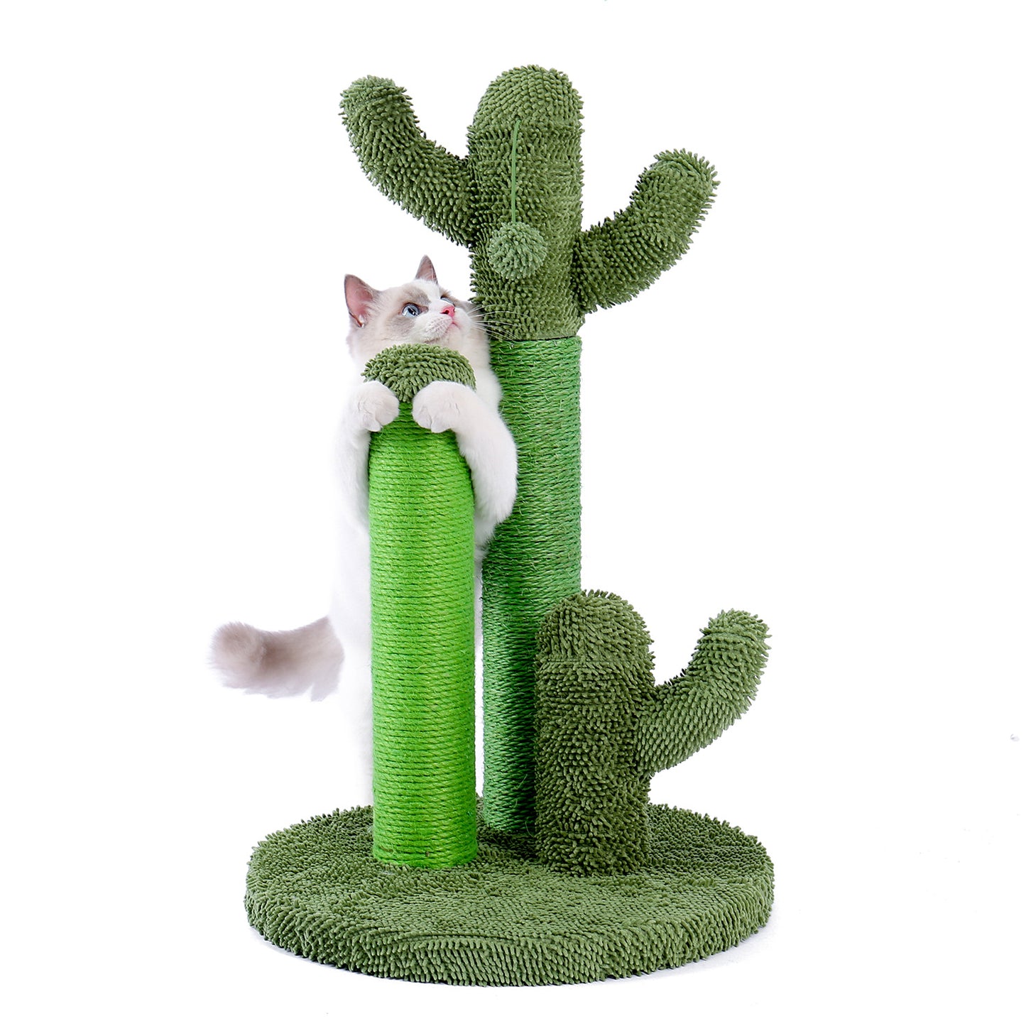 Cat Scratching Post