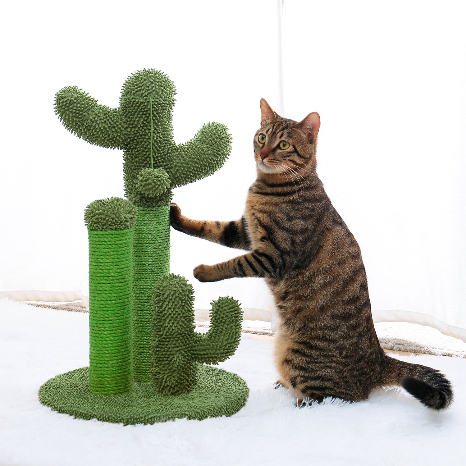 Cat Scratching Post