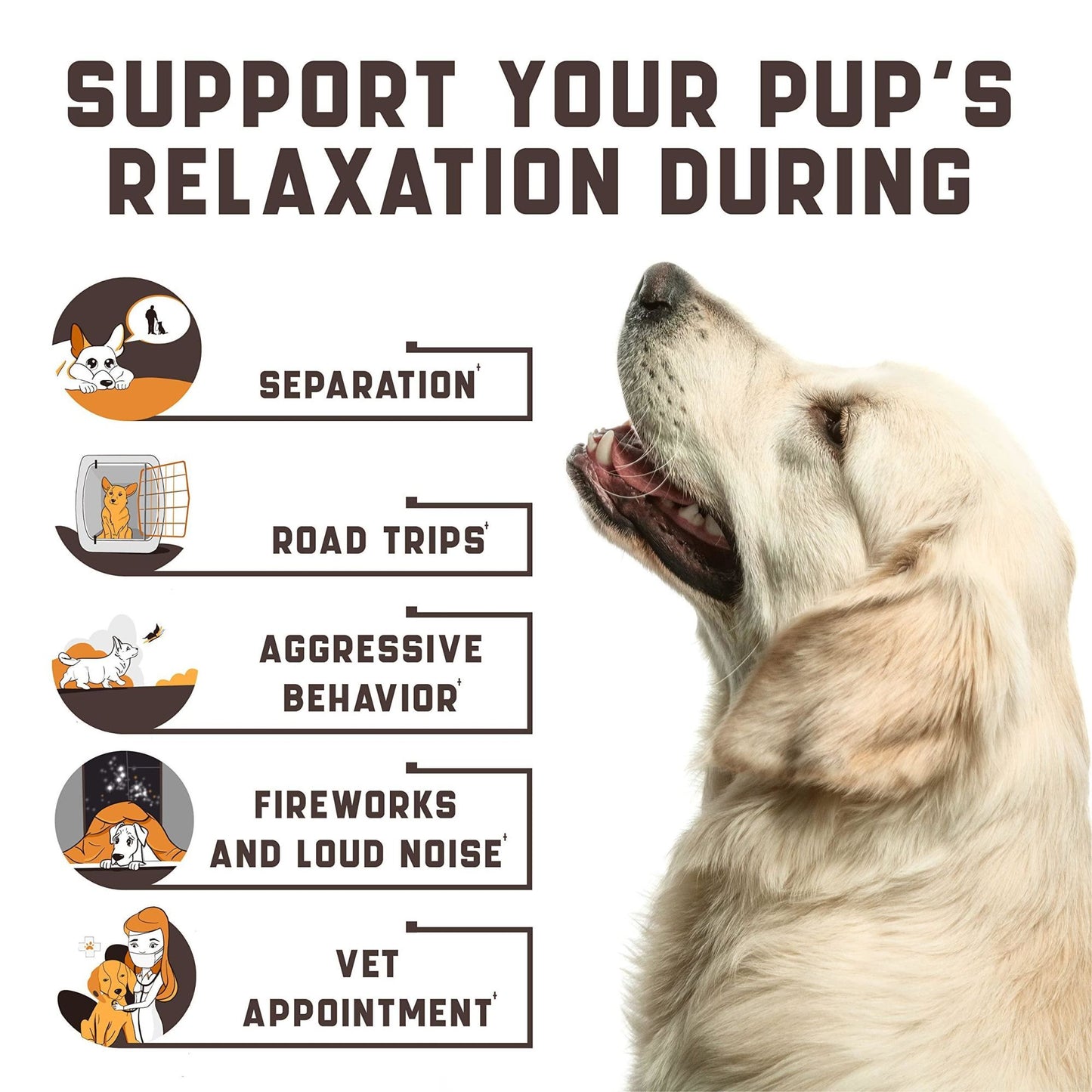 Natural Calming Chews for Dogs with Hemp Oil