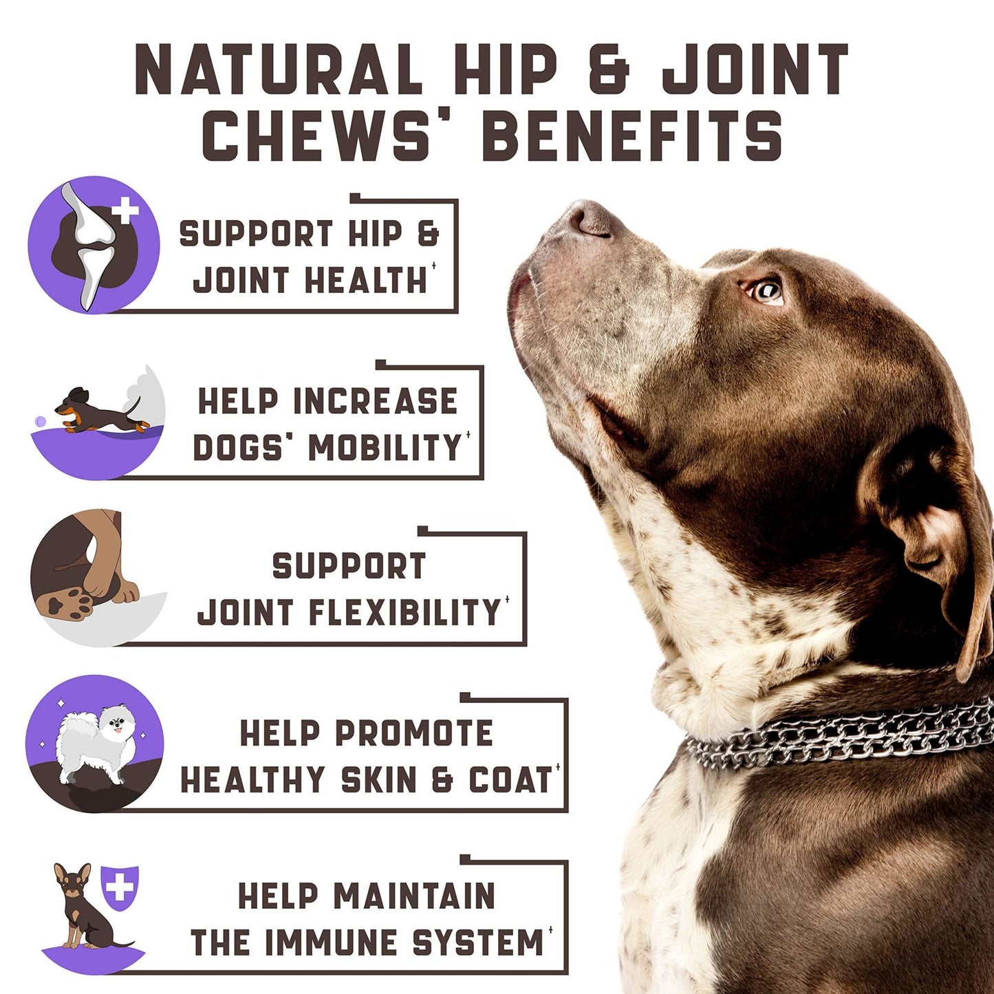 Natural Glucosamine and Hemp Oil Hip and Joint Supplements with Chondroitin MSM for Dogs